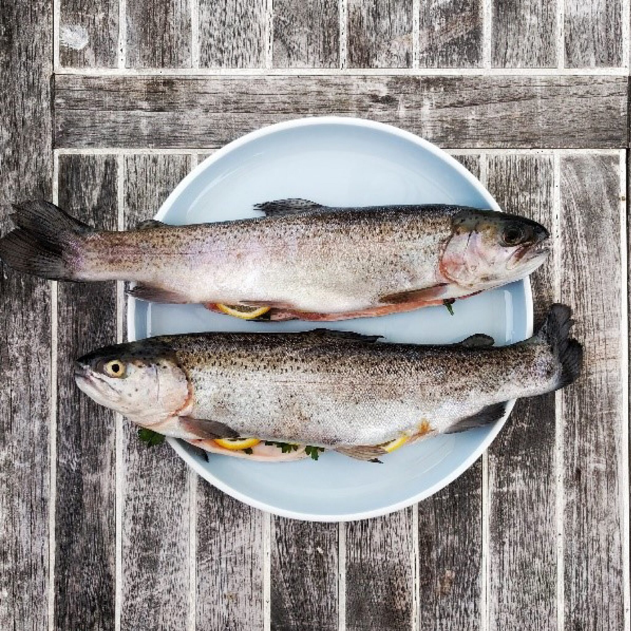 Indonesia Fisheries Market: A Brief Introduction